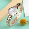 Quartz Watch with Stainless Steel Bracelet