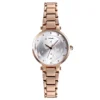 Quartz Watch with Stainless Steel Bracelet