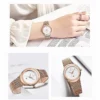 Waterproof Watch with Stainless Steel Mesh Strap